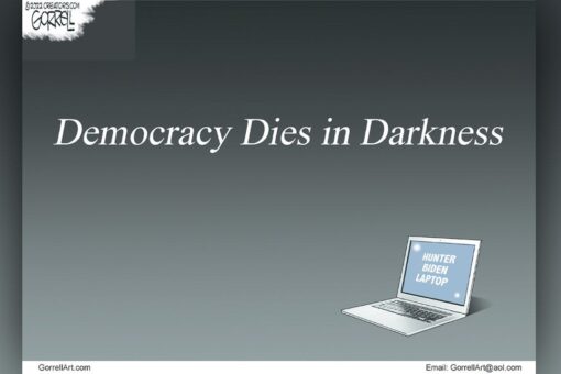 Political cartoons of the day