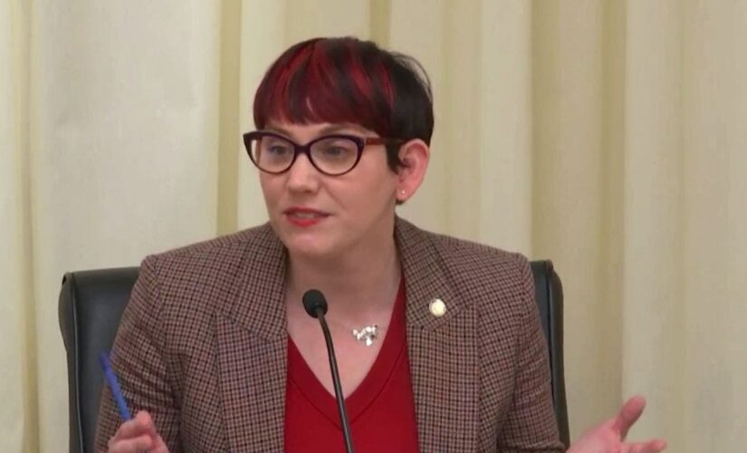 Minnesota Democrat argues for menstrual products in boys’ bathrooms: ‘Not all who menstruate are female’