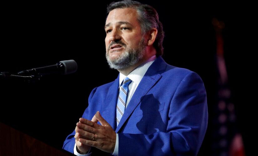 Ted Cruz chastises Dan Crenshaw for ‘overheated rhetoric’ in House speaker fight: ‘Settle down’