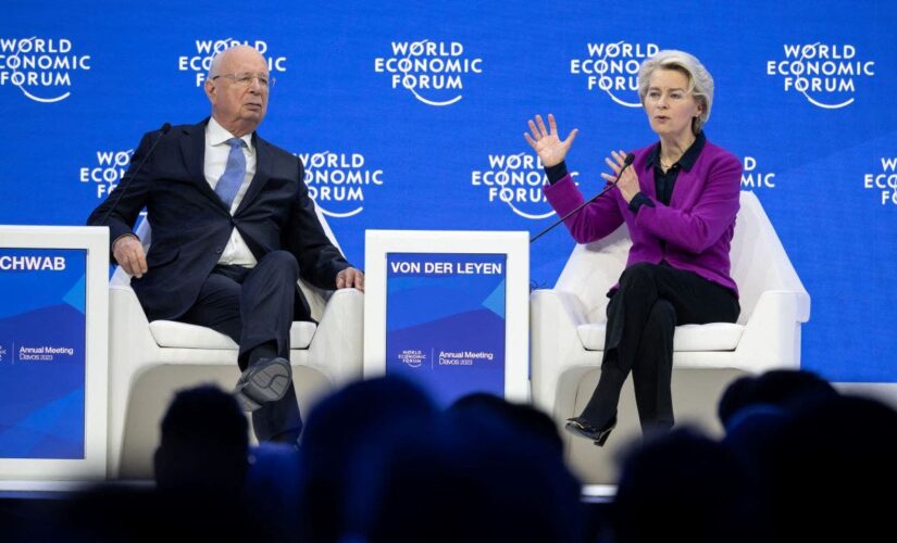 Elites in Davos strategize on how to fight ‘right-wing’ groups: ‘Hit back’