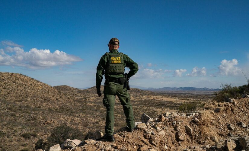 Border Patrol nab three convicted sex offenders in just one sector in four days