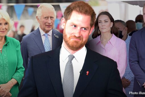 Prince Harry’s ‘Spare’ sinks royal’s popularity; expert says ‘Timing is ghastly’