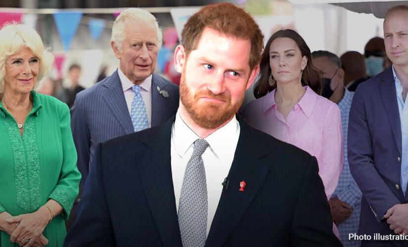 Prince Harry’s ‘Spare’ sinks royal’s popularity; expert says ‘Timing is ghastly’