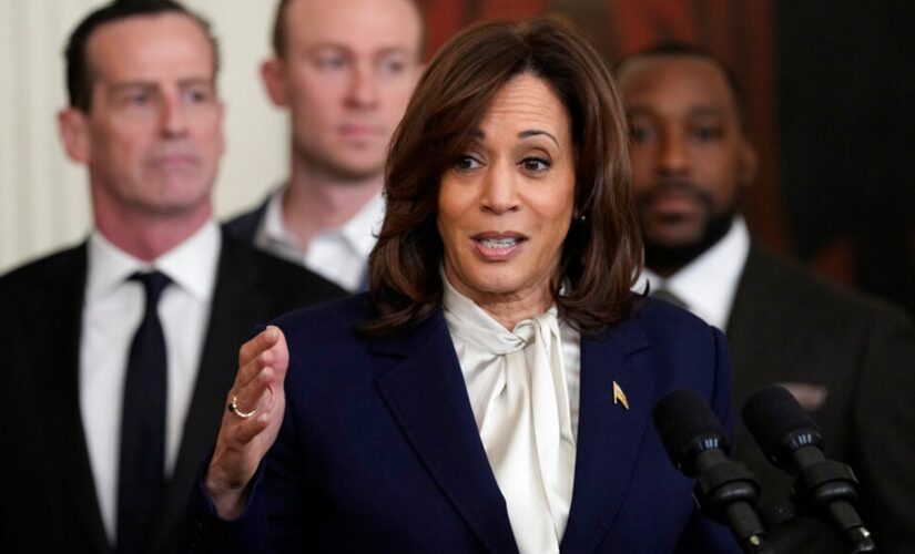 Border Patrol union rips Kamala Harris’ handling of border crisis: ‘you should be fired’