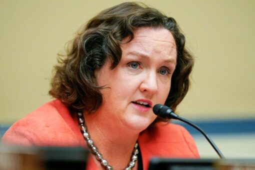House speaker drama: Democrat reads ‘The Subtle Art of Not Giving A F**k’ book on floor