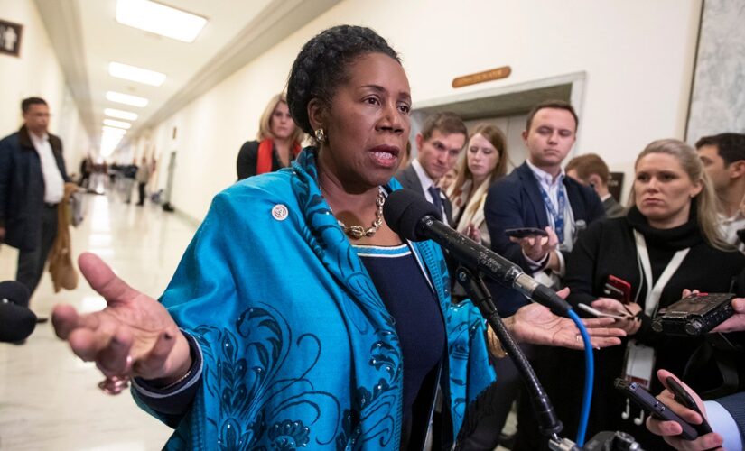 Democrats seek reparations, ‘national apology’ for slavery: ‘We are moving closer’