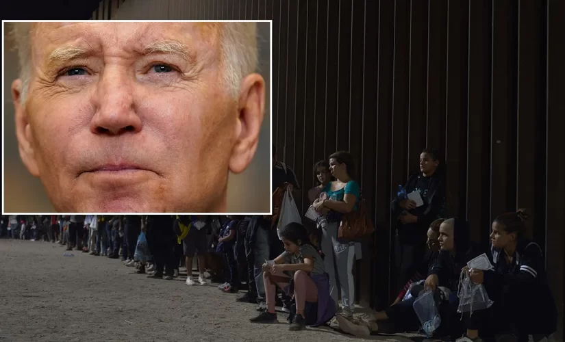 Dems praise Biden for addressing immigration crisis and asylum seekers ahead of US-Mexico border visit