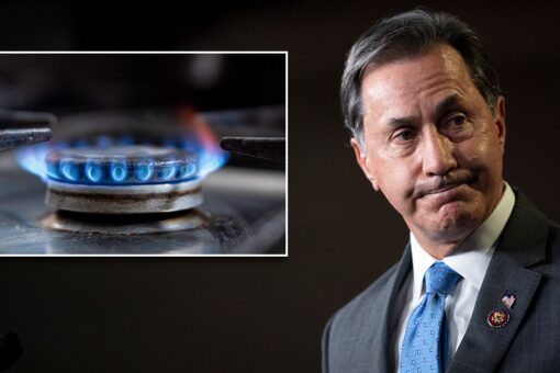Biden admin torched by Rep. Gary Palmer over potential gas stove ban: ‘Desire to control American’s lives’