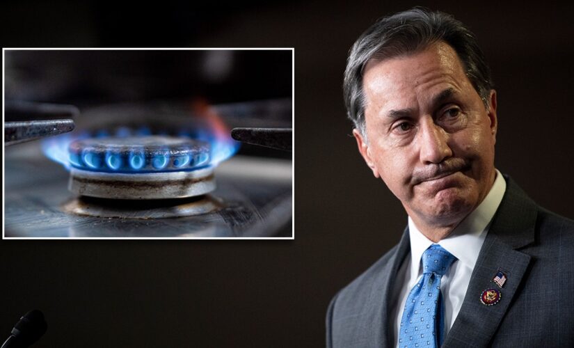 Biden admin torched by Rep. Gary Palmer over potential gas stove ban: ‘Desire to control American’s lives’