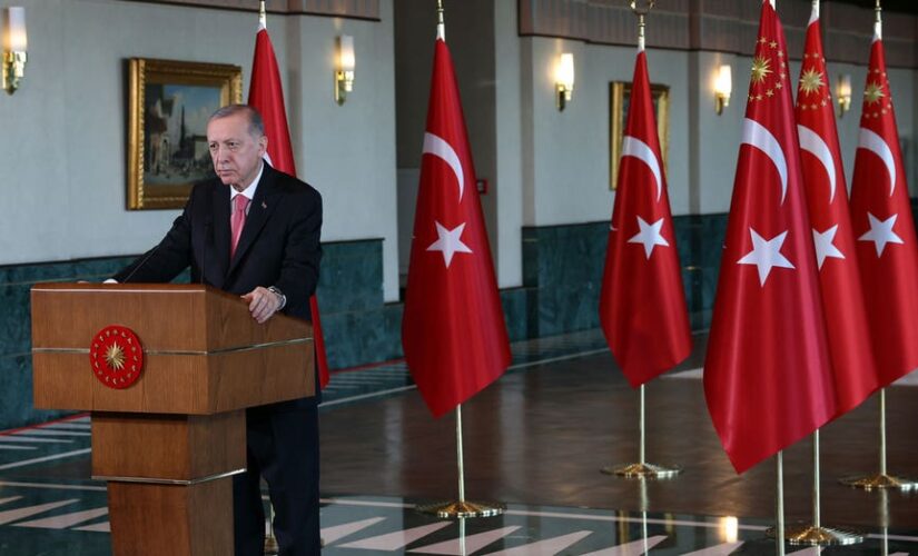 Turkey says Swedish decision not to probe Kurd protest ‘absurd’