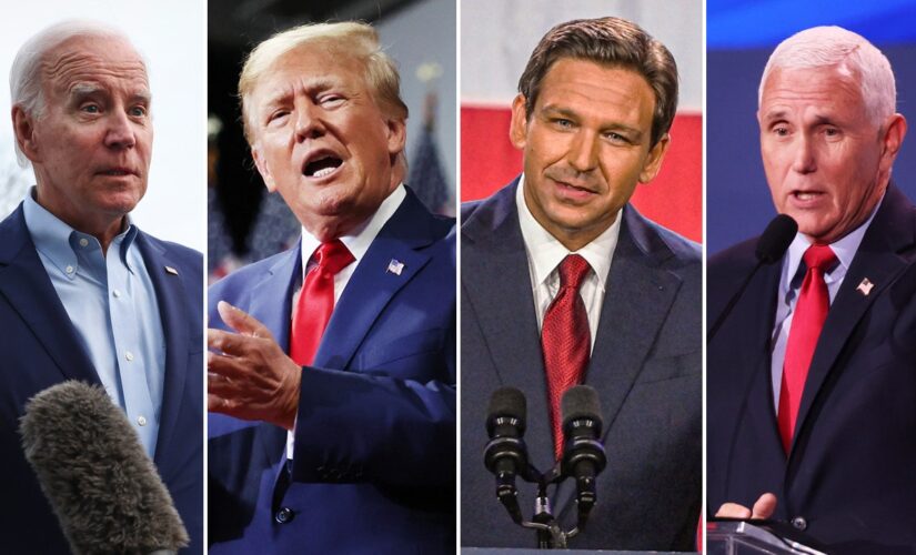 Trump, Newsom, DeSantis? A look at who’s running, and who’s out of the 2024 presidential election