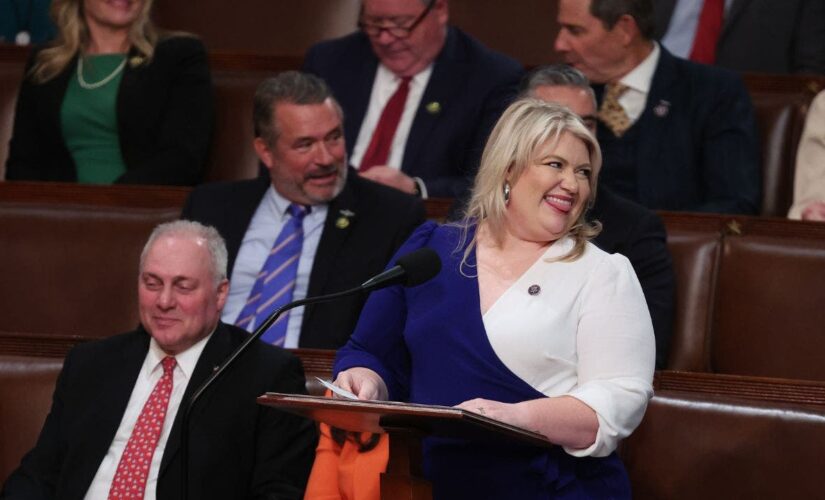 Democrats erupt in jeers after GOP congresswoman accuses them of drinking booze during House Speaker vote