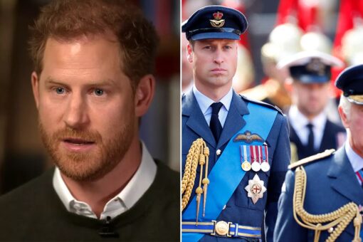 Prince Harry’s book ‘might be the final nail in the coffin’ as the palace braces itself for impact: experts