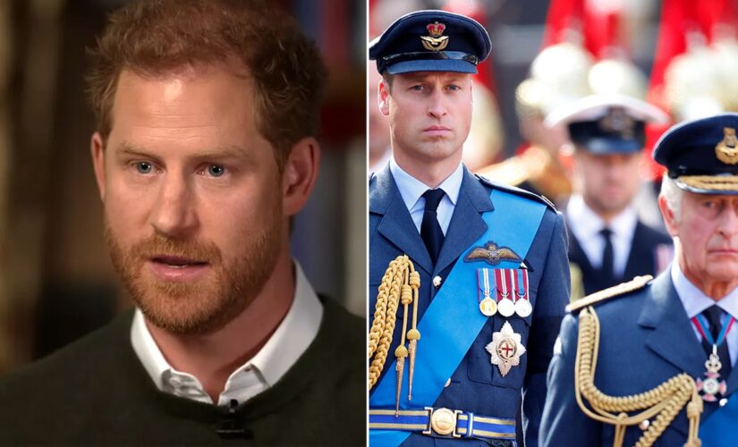 Prince Harry’s book ‘might be the final nail in the coffin’ as the palace braces itself for impact: experts