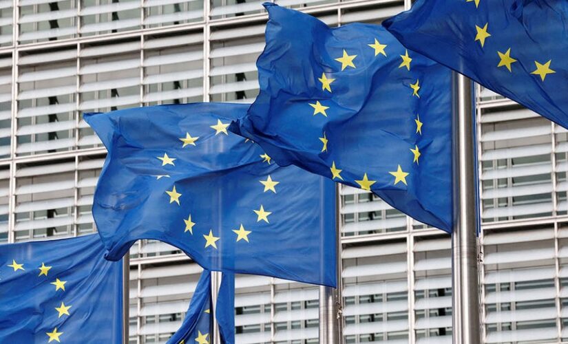 EU should not legally define ‘greenwashing,’ fund groups say