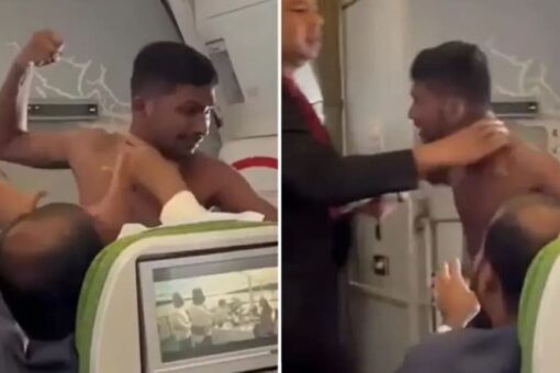 Punches fly as shirtless man brawls with fellow airline passenger over seat assignment