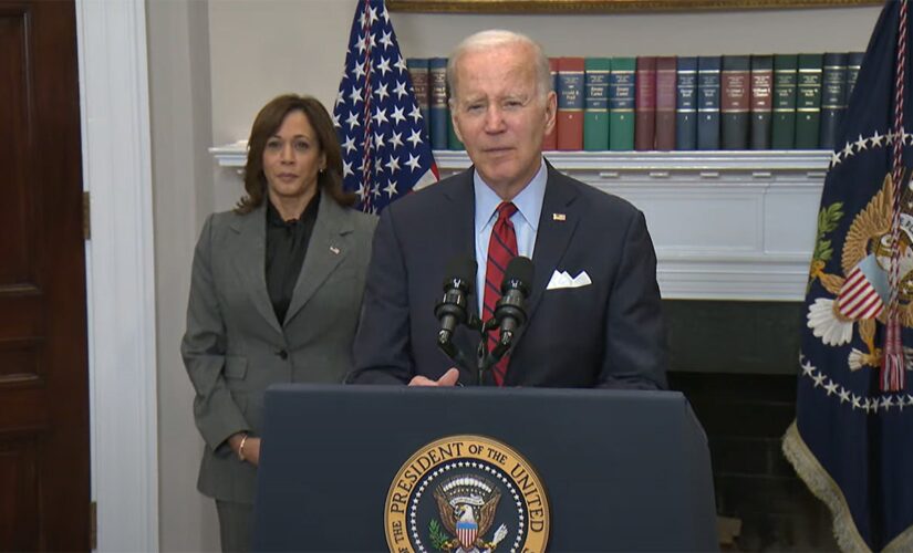 Democrats, immigrant advocates raise red flags over Biden border plan: ‘Deeply disappointed’