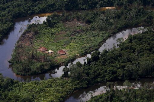 Strong evidence of genocide in Brazil’s largest indigenous community