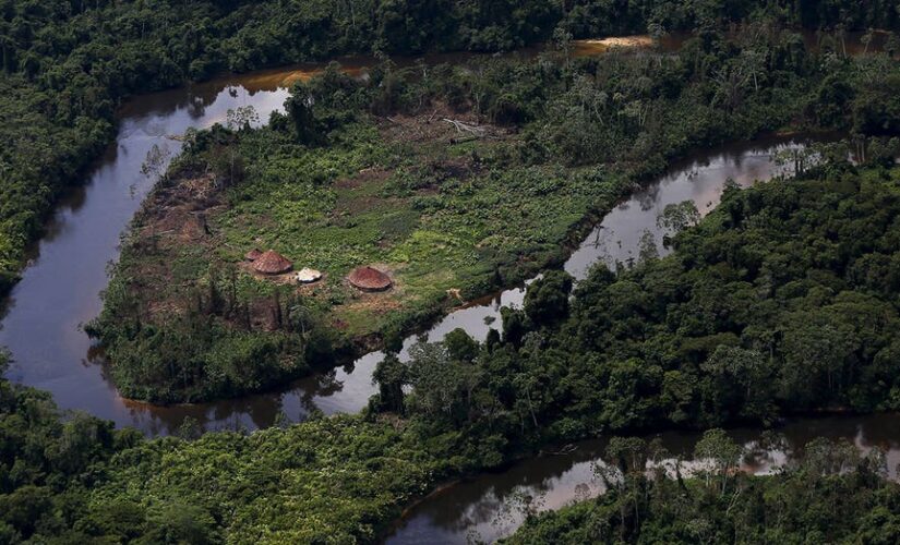 Strong evidence of genocide in Brazil’s largest indigenous community