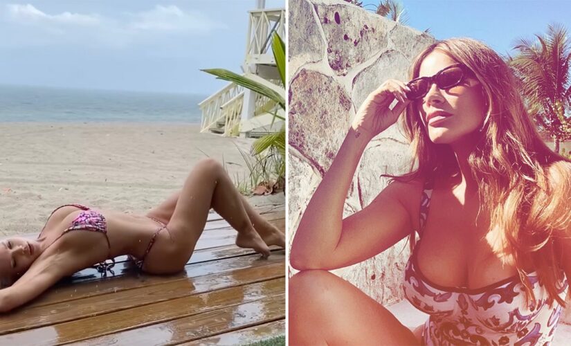 Donna D’Errico, Sof?a Vergara and more celebrities heat up winter in sizzling bikinis