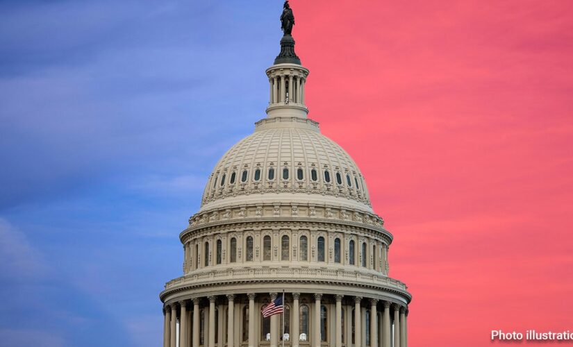 SPLITSVILLE: What can a divided Congress actually deliver? Americans weigh in