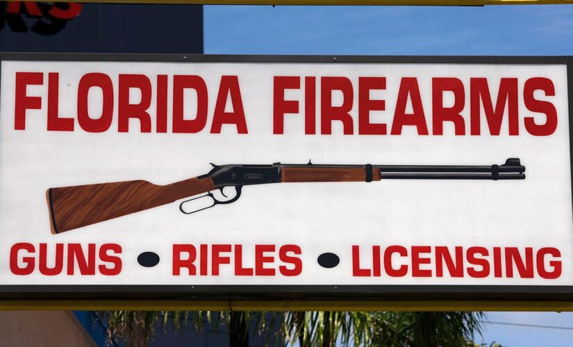 Florida Supreme Court upholds state law banning local governments from implementing restrictions on guns