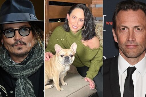 Andrew Shue, Johnny Depp, Cheryl Burke are the latest stars to battle over pets amid breakups