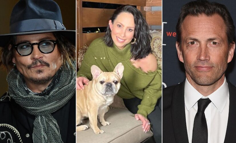Andrew Shue, Johnny Depp, Cheryl Burke are the latest stars to battle over pets amid breakups